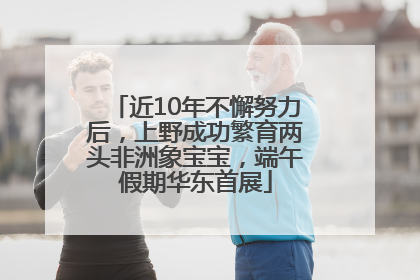 近10年不懈努力后,上野成功繁育两头非洲象宝宝,端午假期华东首展