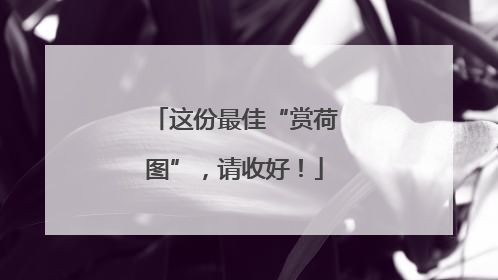 这份最佳“赏荷图”，请收好！