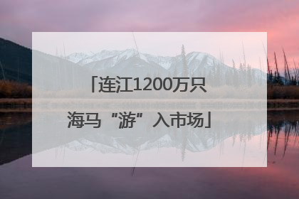 连江1200万只海马“游”入市场