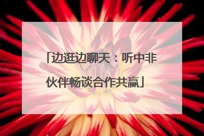 边逛边聊天：听中非伙伴畅谈合作共赢