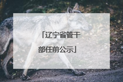 辽宁省管干部任前公示