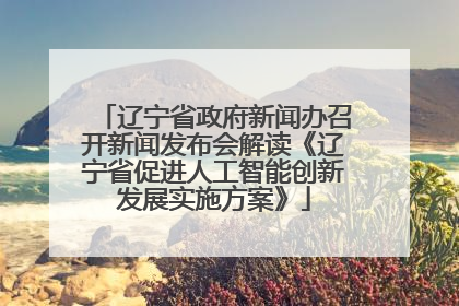 辽宁省政府新闻办召开新闻发布会解读《辽宁省促进人工智能创新发展实施方案》