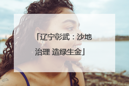 辽宁彰武：沙地治理 造绿生金