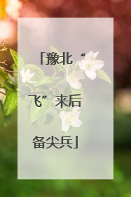 豫北“飞”来后备尖兵