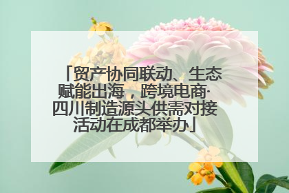 贸产协同联动、生态赋能出海，跨境电商·四川制造源头供需对接活动在成都举办