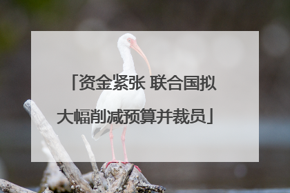 资金紧张 联合国拟大幅削减预算并裁员