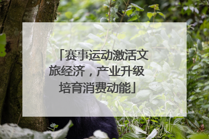 赛事运动激活文旅经济，产业升级培育消费动能
