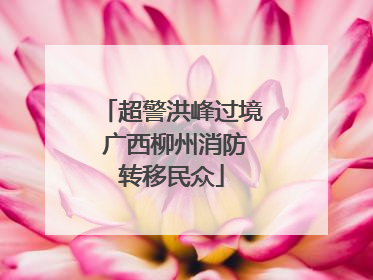 超警洪峰过境 广西柳州消防转移民众