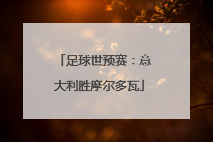 足球世预赛：意大利胜摩尔多瓦