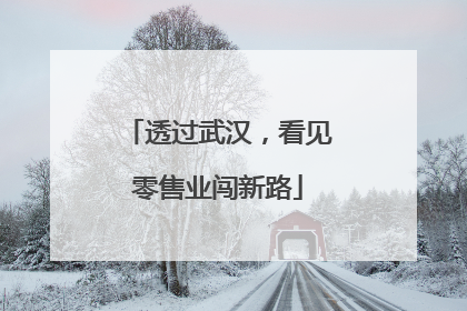 透过武汉，看见零售业闯新路