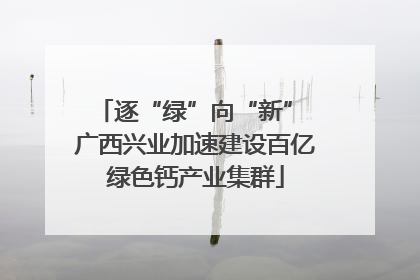 逐“绿”向“新” 广西兴业加速建设百亿绿色钙产业集群