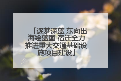 逐梦深蓝 东向出海绘蓝图 宿迁全力推进重大交通基础设施项目建设