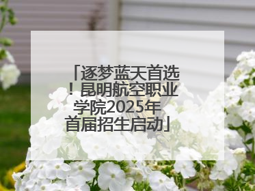 逐梦蓝天首选！昆明航空职业学院2025年首届招生启动