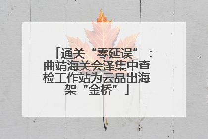 通关“零延误”：曲靖海关会泽集中查检工作站为云品出海架“金桥”