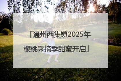 通州西集镇2025年樱桃采摘季甜蜜开启