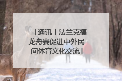 通讯丨法兰克福龙舟赛促进中外民间体育文化交流