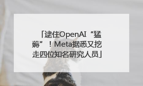 逮住OpenAI“猛薅”！Meta据悉又挖走四位知名研究人员