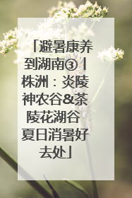 避暑康养到湖南③丨株洲：炎陵神农谷&茶陵花湖谷 夏日消暑好去处
