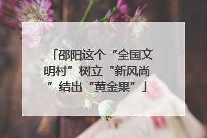 邵阳这个“全国文明村”树立“新风尚”结出“黄金果”