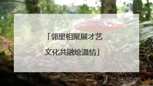 邻里相聚展才艺 文化共融绘温情