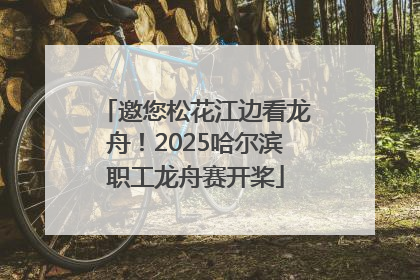 邀您松花江边看龙舟！2025哈尔滨职工龙舟赛开桨