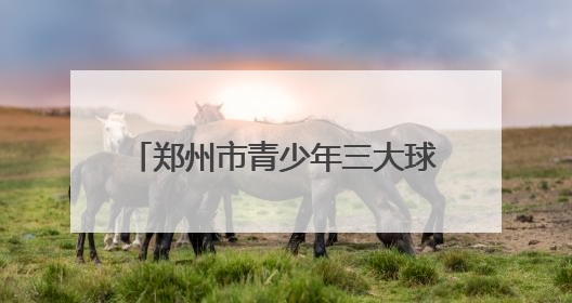 郑州市青少年三大球联赛排球比赛收官