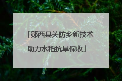 郧西县关防乡新技术助力水稻抗旱保收