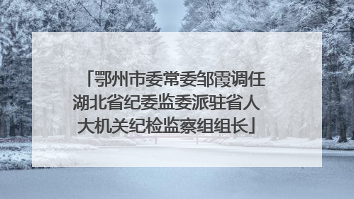 鄂州市委常委邹霞调任湖北省纪委监委派驻省人大机关纪检监察组组长