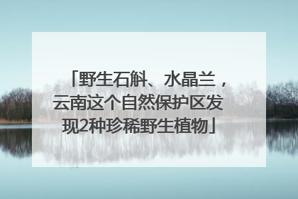 野生石斛、水晶兰，云南这个自然保护区发现2种珍稀野生植物