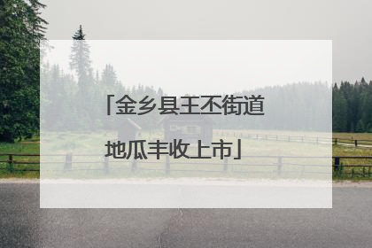 金乡县王丕街道地瓜丰收上市