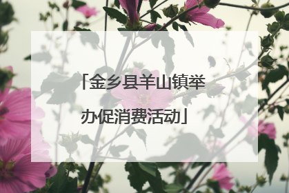 金乡县羊山镇举办促消费活动