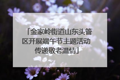 金家岭街道山东头管区开展端午节主题活动 传递敬老温情