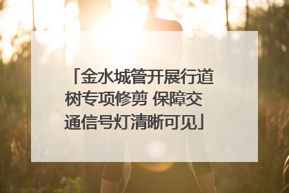 金水城管开展行道树专项修剪 保障交通信号灯清晰可见