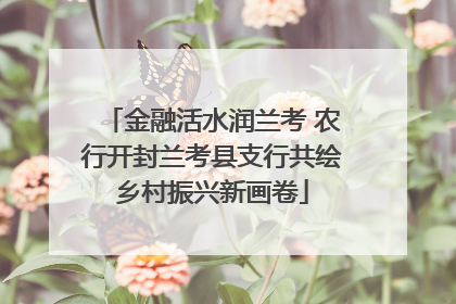 金融活水润兰考 农行开封兰考县支行共绘乡村振兴新画卷