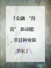 金融 “育苗” 新动能，莘县种业拔节长
