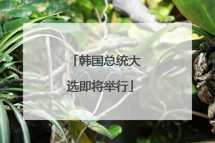 韩国总统大选即将举行