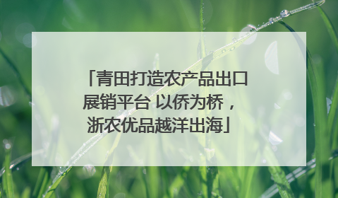 青田打造农产品出口展销平台 以侨为桥，浙农优品越洋出海