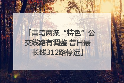 青岛两条“特色”公交线路有调整 昔日最长线312路停运