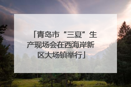 青岛市“三夏”生产现场会在西海岸新区大场镇举行
