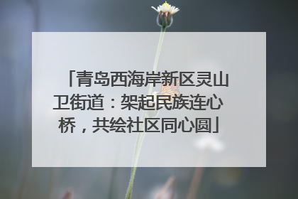 青岛西海岸新区灵山卫街道：架起民族连心桥，共绘社区同心圆