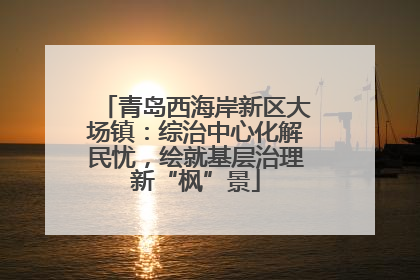 青岛西海岸新区大场镇：综治中心化解民忧，绘就基层治理新“枫”景