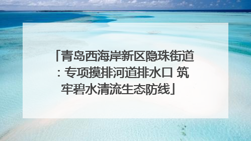 青岛西海岸新区隐珠街道：专项摸排河道排水口 筑牢碧水清流生态防线