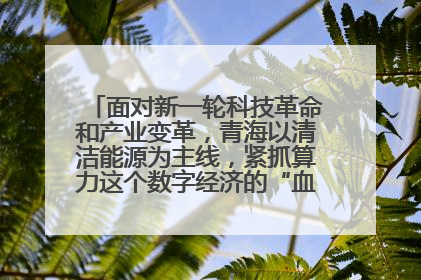 面对新一轮科技革命和产业变革，青海以清洁能源为主线，紧抓算力这个数字经济的“血液”、科技主权的“筹码”、产业升级的“杠杆”、绿色转型的“支点”，勇于撬动国家“双碳”战略、“东数西算”工程重大发展新机遇