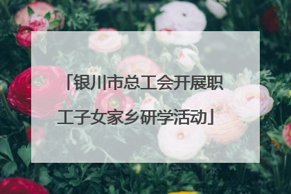 银川市总工会开展职工子女家乡研学活动