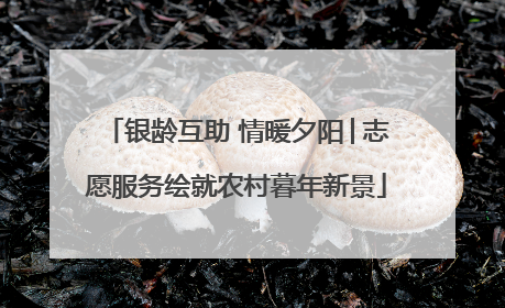 银龄互助 情暖夕阳│志愿服务绘就农村暮年新景