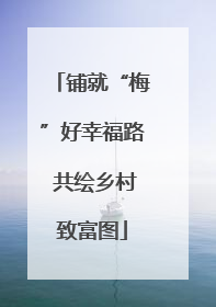 铺就“梅”好幸福路 共绘乡村致富图