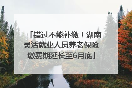错过不能补缴！湖南灵活就业人员养老保险缴费期延长至6月底