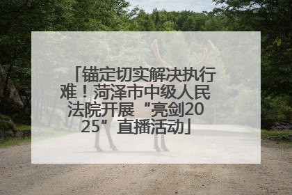 锚定切实解决执行难！菏泽市中级人民法院开展“亮剑2025”直播活动