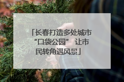 长春打造多处城市“口袋公园” 让市民转角遇风景