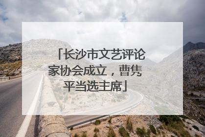 长沙市文艺评论家协会成立，曹隽平当选主席